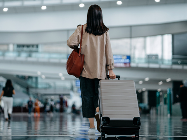 Air Transport Industry Improves Baggage Handling Despite Passenger Traffic
