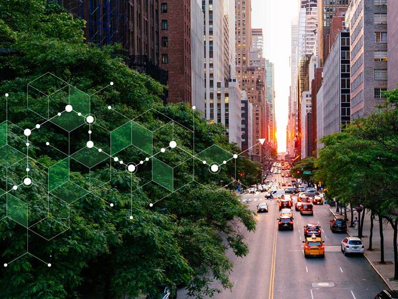 Profitable Sustainability: Practical Solutions That Cut Costs and Reduce Environmental Impact
