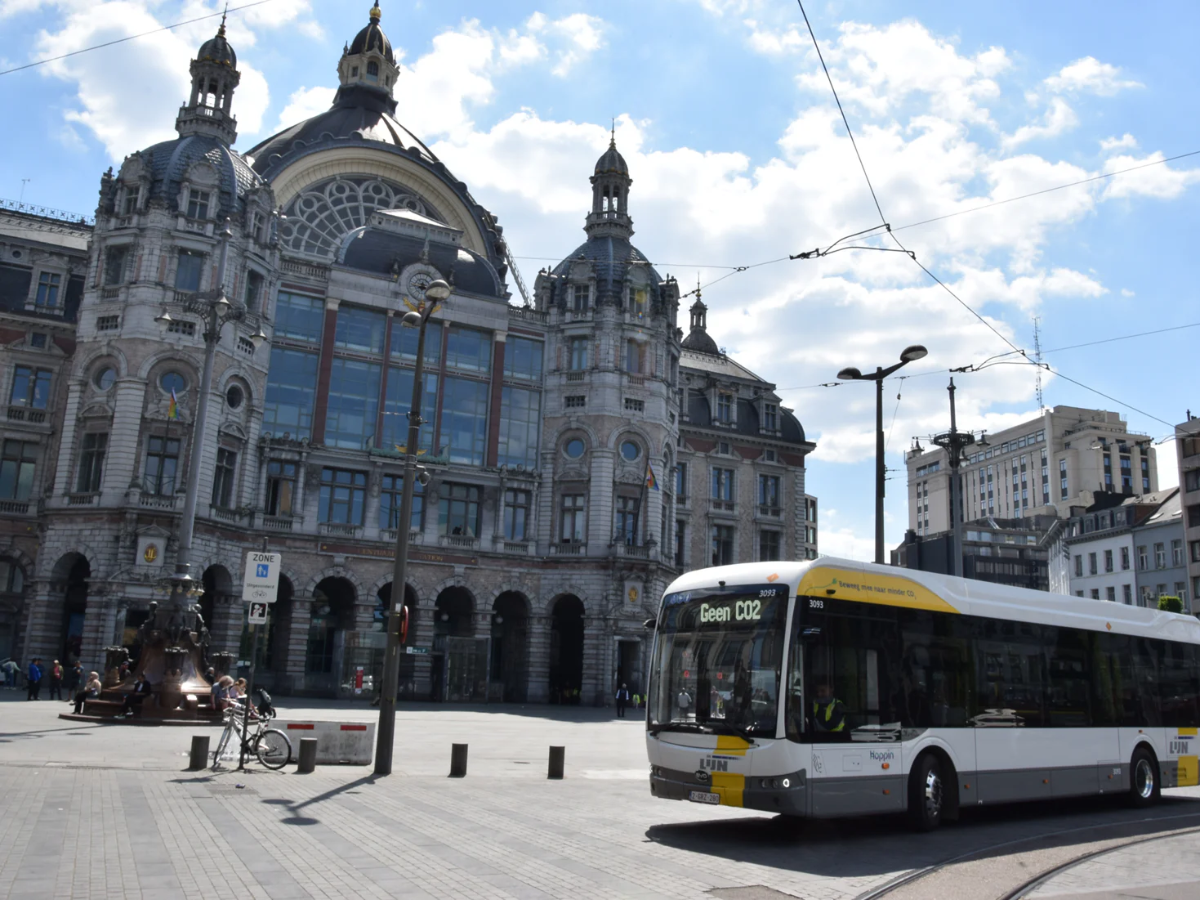 New Electric BYD Buses Launched on Routes in Antwerp